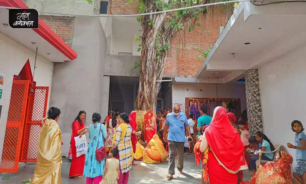 359888-vat-savitri-vrat-bargad-ped-banyan-tree-nature-festivals-vat-vriksh-6