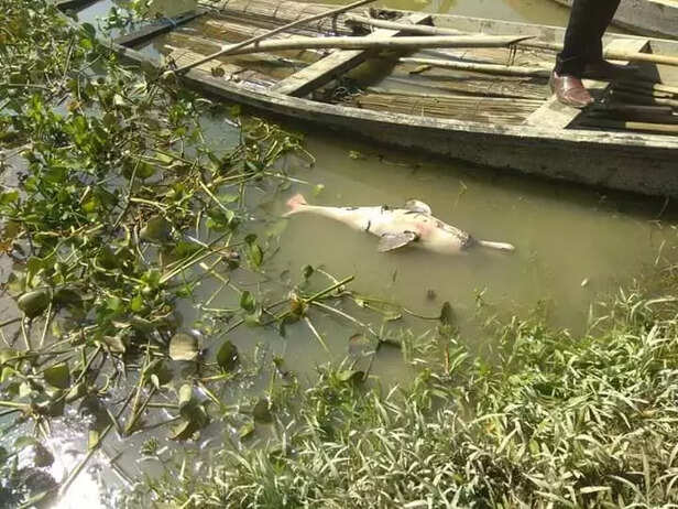 347864-img-20200610-wa0012