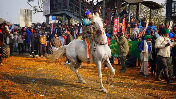 351072-whatsapp-image-2021-01-27-at-92928-am