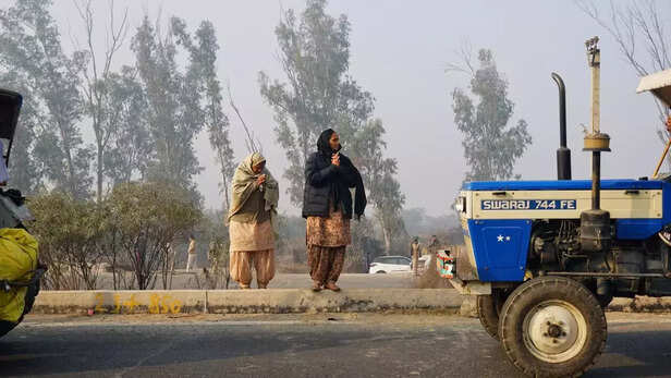 351074-whatsapp-image-2021-01-27-at-92926-am