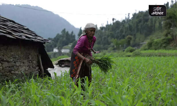 370881-farmers-income-agriculture-india-processing-dairy-milk-production-2