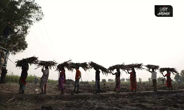 370882-farmers-income-agriculture-india-processing-dairy-milk-production-1