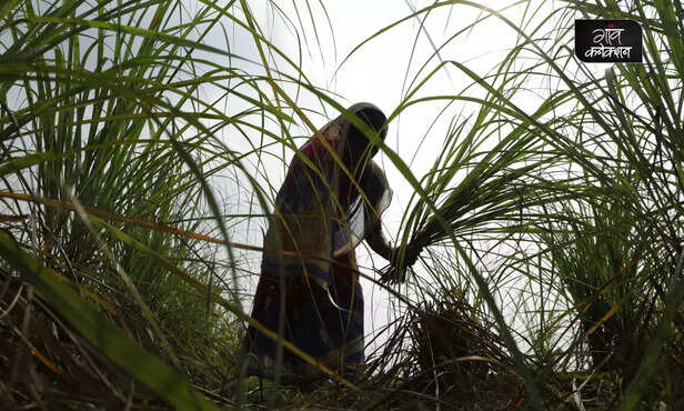 370883-hero-image-43