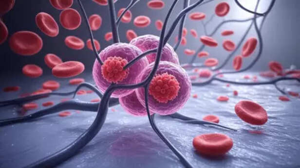 Liver health research