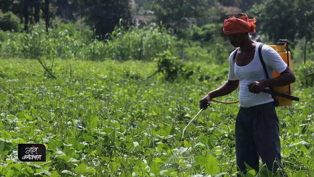 358918-farmer-producer-organisation-uttar-pradesh-farmers-fpo-yogi-adityanath-1