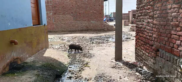 355421-firozabad-mystery-fever-dengue-uttar-pradesh-children-death-yogi-adityanath-1