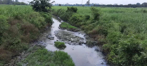 354827-whatsapp-image-2021-08-04-at-173815-1