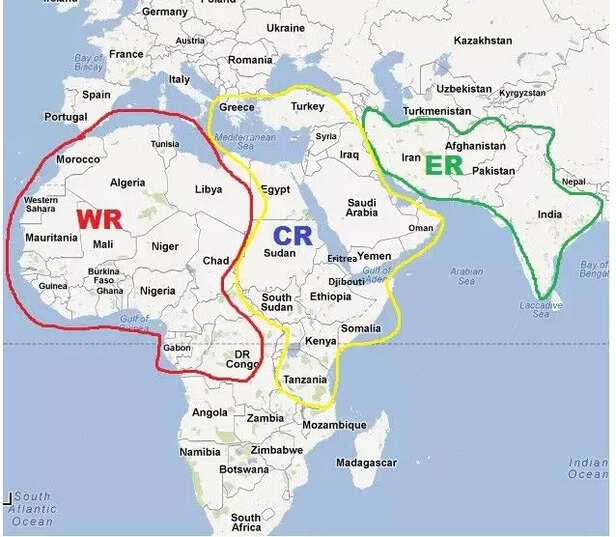 346394-locust-swarm-india-2