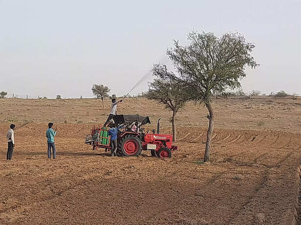 346395-locust-swarm-india-8