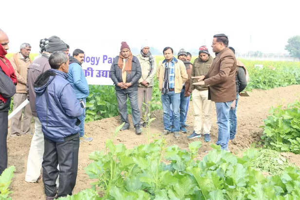 343221-whatsapp-image-2020-01-03-at-102800-am