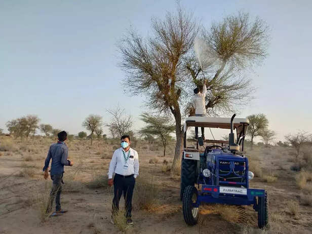 346397-locust-swarm-india-7