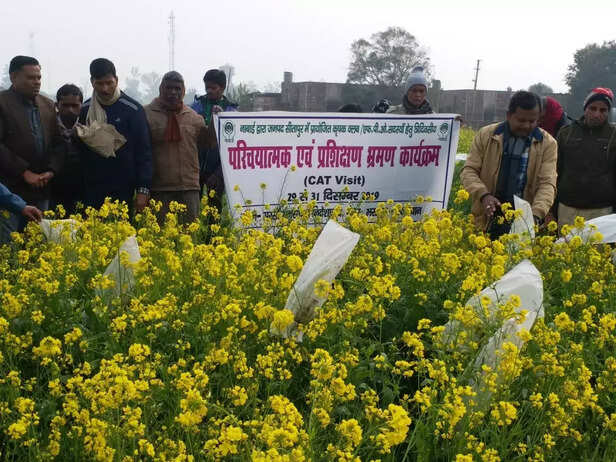 343222-whatsapp-image-2020-01-03-at-102810-am