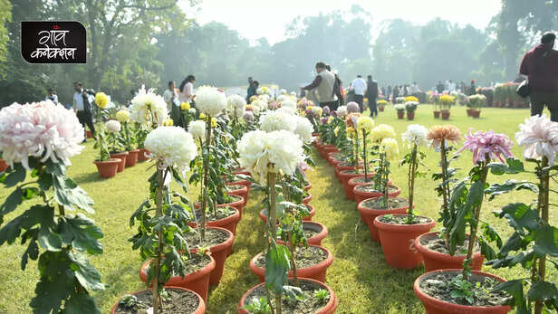 362611-chrysanthemum-coleus-show-csir-nbri-lucknow-azadi-ka-amrit-mahotsav-3