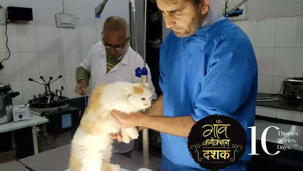 362528-rabies-vaccine-kashmiri-doctor-qazi-mudasir-national-rabies-control-programme-dogs-cats-1