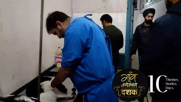 362532-rabies-vaccine-kashmiri-doctor-qazi-mudasir-national-rabies-control-programme-dogs-cats-5