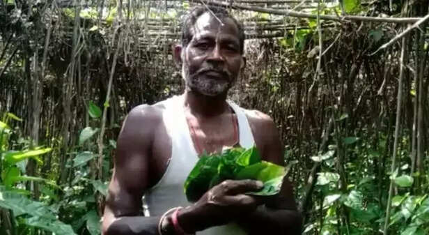 341502-a6236b1b-cba4-4fff-ab20-ebc95275a7d9