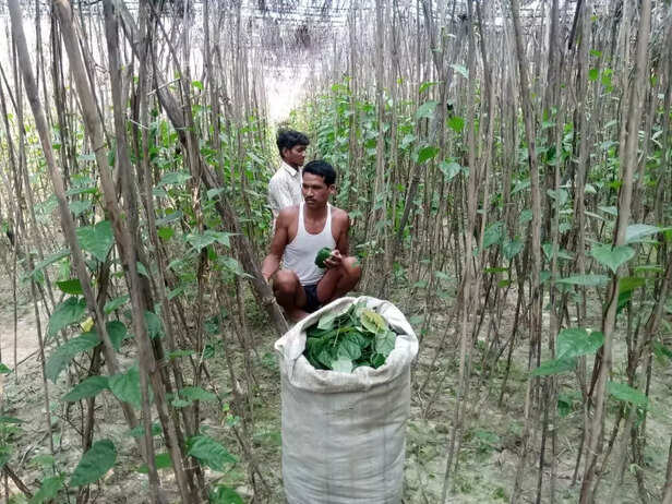 341503-41a53715-792a-4bef-b7ab-e0618b133287