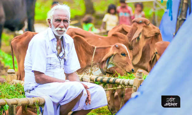 370952-rural-and-city-lifestyle-health-diet-comparison-healthy-lifestyle-immunity-3