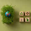 Go Green