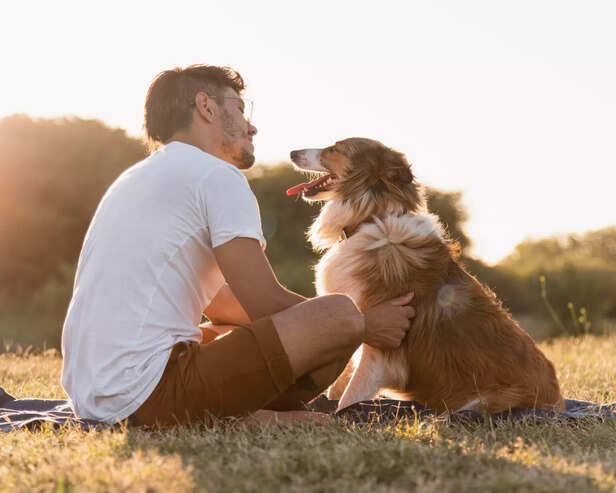 Sign of Dog's Affection and Intelligence