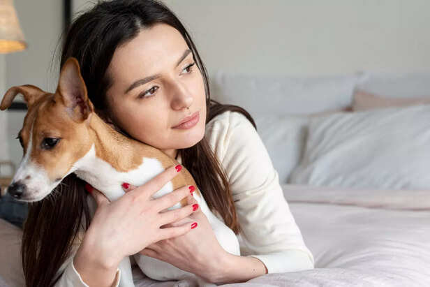Symptoms of Vestibular Disease?