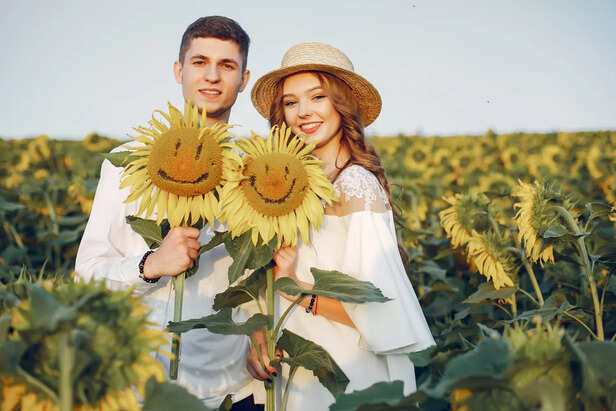 Sunflower Garden