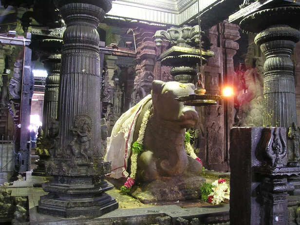 Sacred Nandi in Temple Worship