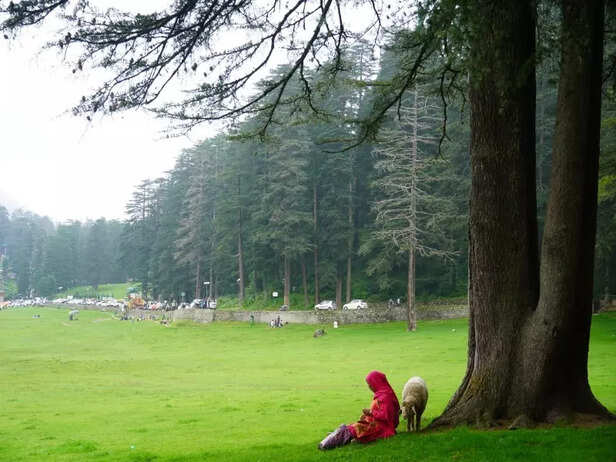 Dalhousie - Himachal Pradesh