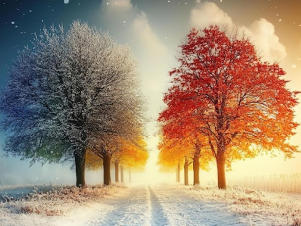 Dual season destination