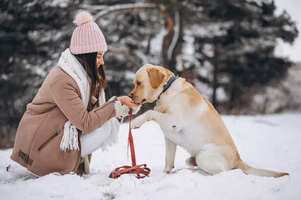 Limit Outdoor walks in winters