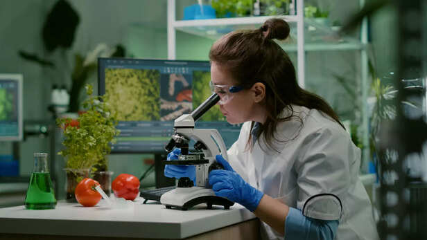 Vitamin K activates osteocalcin