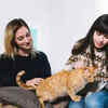 Every small moment becomes magic when you turn your cat’s day into a purr-fect adventure
