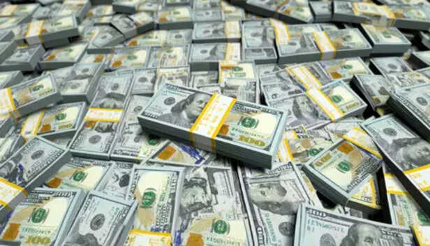 US dollar may no longer be sole anchor in global currency, rupee remains strong