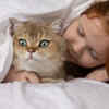 Cute Cat Cuddling With Child Under Blanket