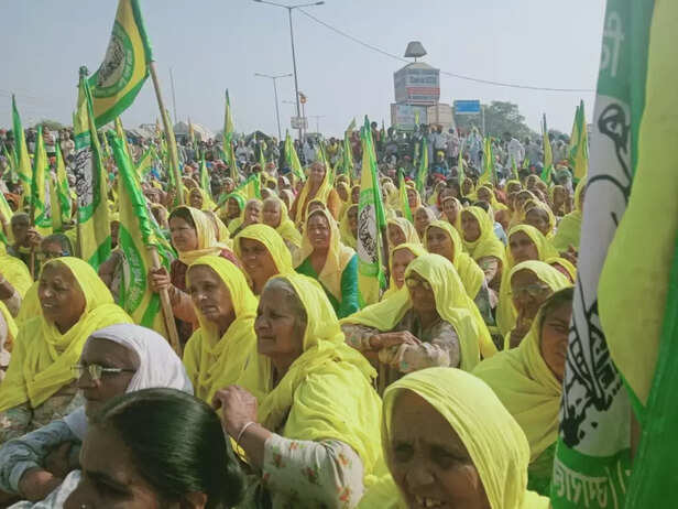 WhatsApp-Image-2020-12-08-at-17.13.50-1-1024x768