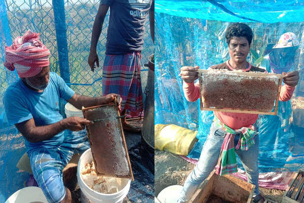 TB-Sunderban-11-scaled