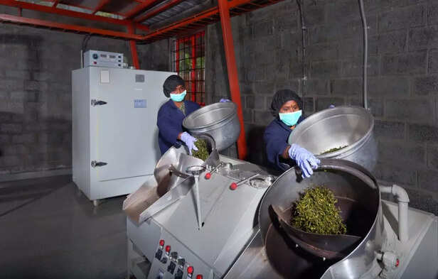 WhatsApp-Image-2021-01-21-at-4.28.28-PM-4-1024x654