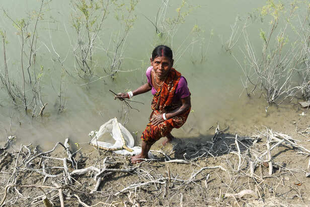 TB-Sunderban-09-scaled