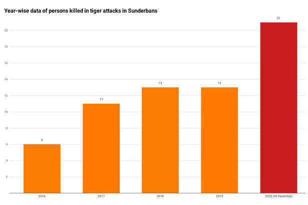 TB-Sunderban-06-scaled