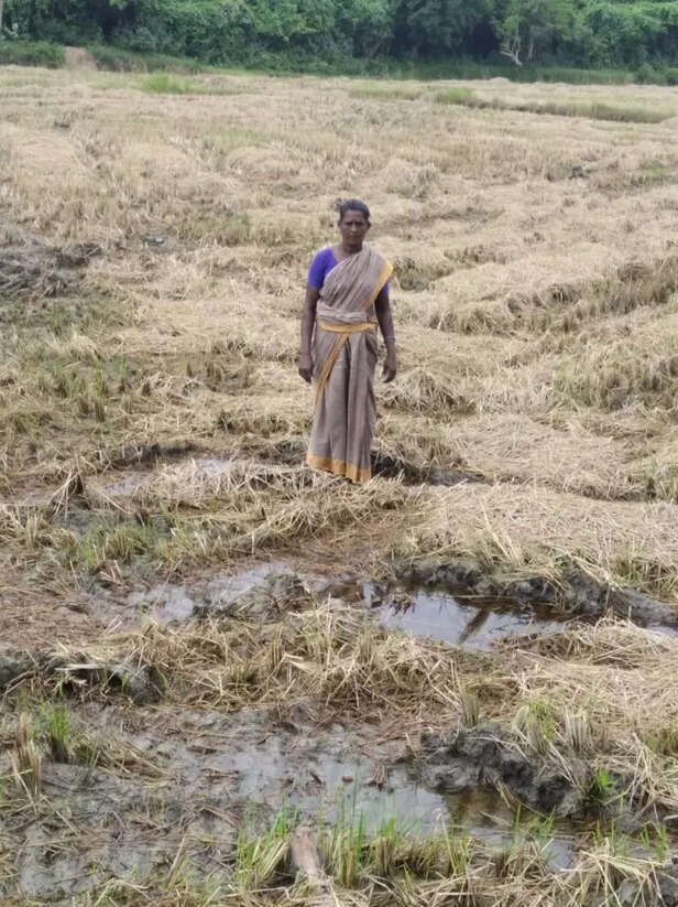 WhatsApp-Image-2021-01-13-at-16.01.52-766x1024