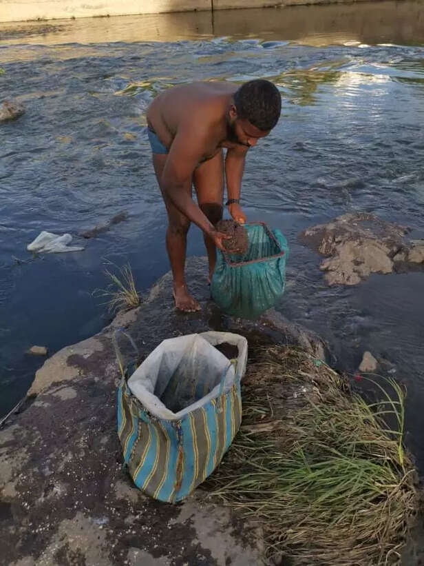 whatsapp-image-2020-09-12-at-10.50.53-am-3