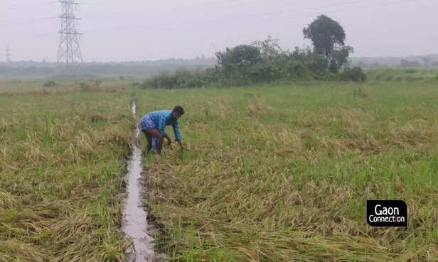 WhatsApp-Image-2021-01-16-at-10.55.52-AM-1024x614