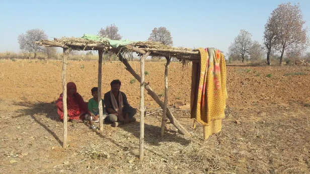 358811-whatsapp-image-2022-04-05-at-83042-am