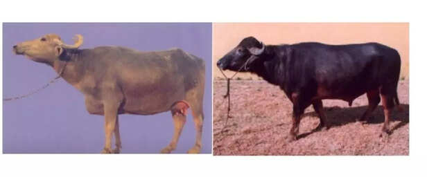 Add-a-heading-31-1024x426