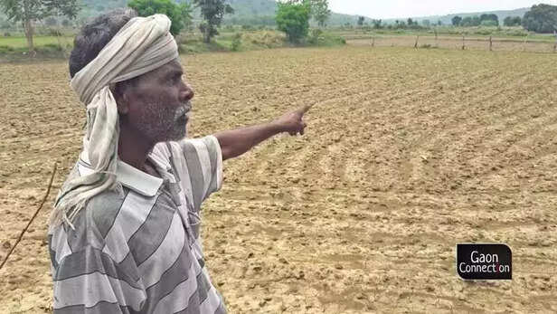 362353-jharkhand-drought-farmers