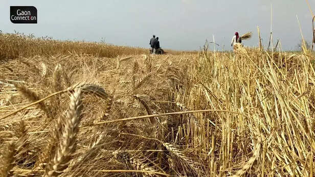 359112-whatsapp-image-2022-04-22-at-24928-pm