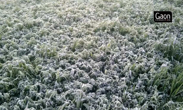 363080-untitled-design-41