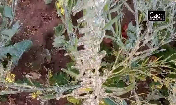 363082-untitled-design-42