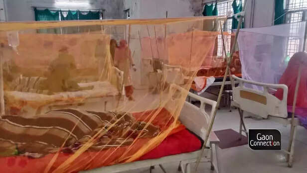 368460-mosquito-nets