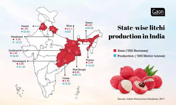 360034-whatsapp-image-2022-06-07-at-44657-pm